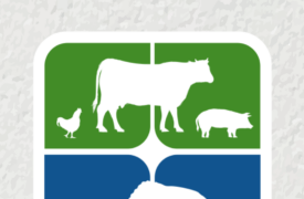 MATRÍCULAS E REMATRÍCULAS 2026